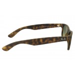 New Wayfarer RB 2132 894/76