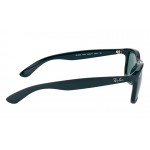 Ray-Ban 4202 6069/71 Andy