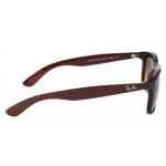 Ray-Ban 4202 6073/13 Andy