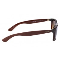 Ray-Ban 4202 6073/13 Andy
