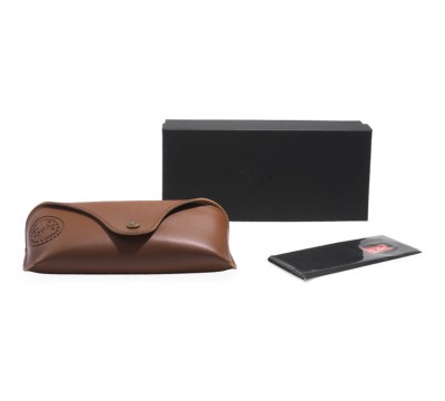 Чехол Ray-Ban Case Special Edition