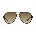 Cats Ray-Ban 4125 710/51