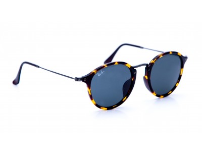 Icons Ray-Ban 2447 1158/R5