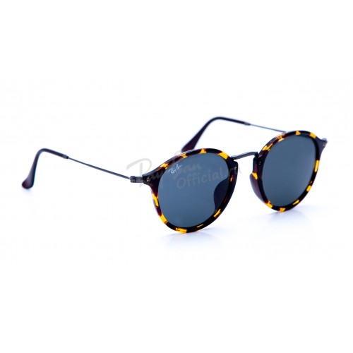 Icons Ray-Ban 2447 1158/R5